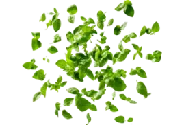 سبزیجات خشک