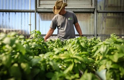 خواص سبزیجات و میوه‌ های خشک