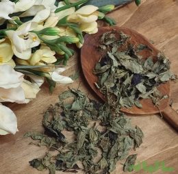 برگ شوید خشک