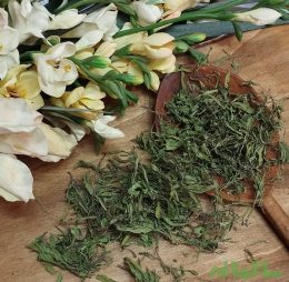 برگ مرزه خشک