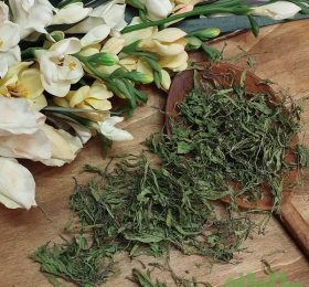 برگ مرزه خشک