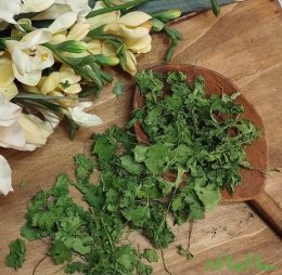 برگ گشنیز خشک