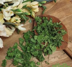 برگ گشنیز خشک